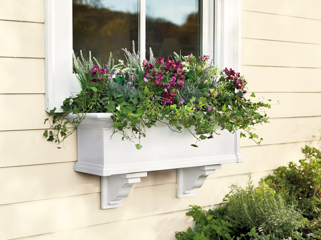 Plow & Hearth Yorkshire SelfWatering Plastic Window Box Planter & Reviews Wayfair